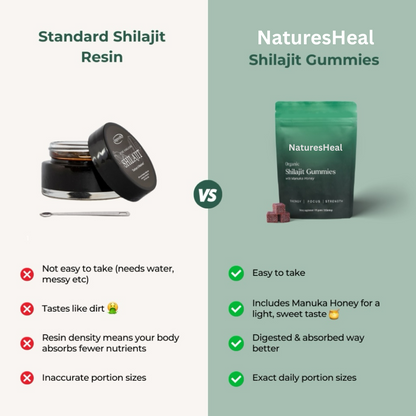 NaturesHeal Daily Shilajit Gummies