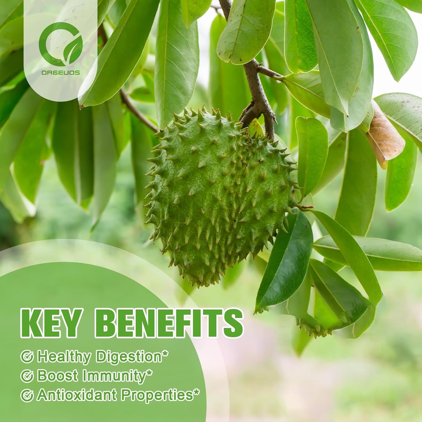 60pcs Organic Soursop Gummies