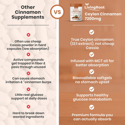 Organic Ceylon Cinnamon Powder