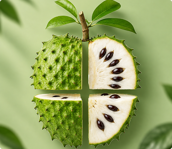 100% Fermented Soursop