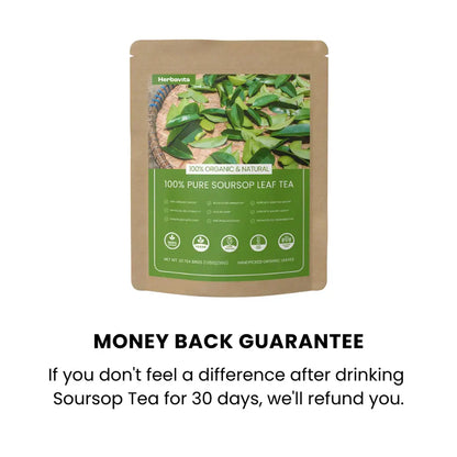 100% Organic Soursop Leaf Tea